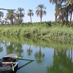 تحقق من التوفر